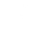 Vector element