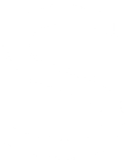 Decorative line
